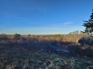 Sagamore Hill Cape Cod View